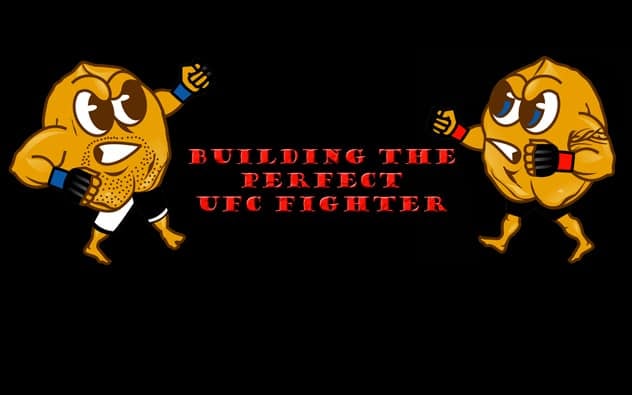 Building the perfect UFC Fighter