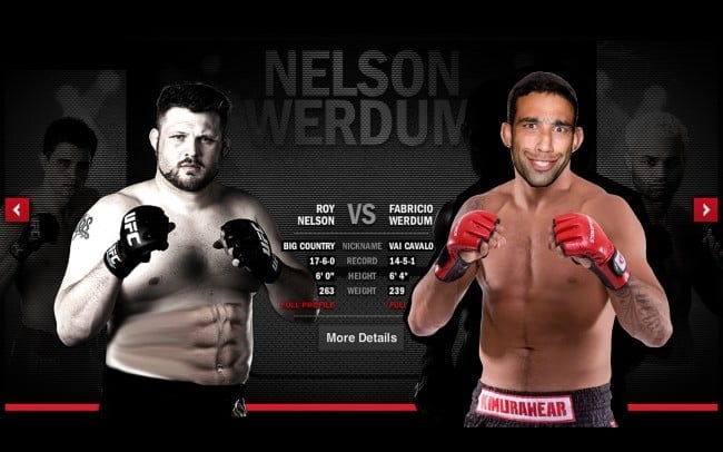 Nelson Werdum