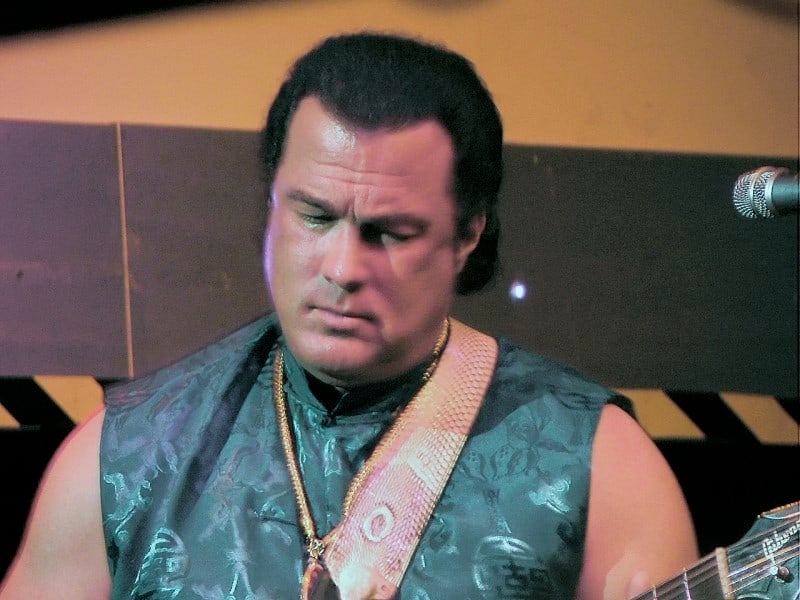 We’re glad the UFC kept it real with this caption of Steven Seagal.