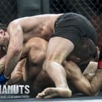 XFO 50