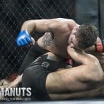 XFO 50