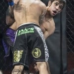 XFO 50