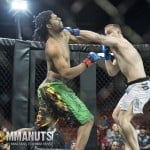 XFO 50