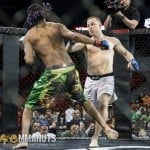 XFO 50