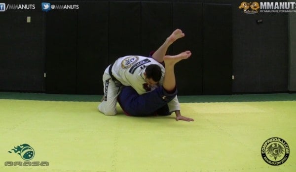 shoshin bjj